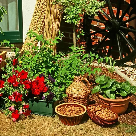 Hotel Garni Nussbaumhof 4*