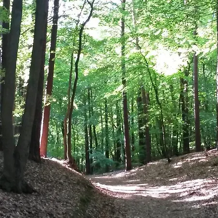 Hotel Garni Nussbaumhof 4*